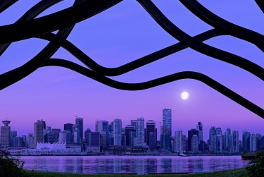 东莞茶山借钱空放利息揭秘：揭秘真实利率，助您明智贷款