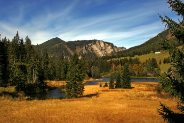 东莞茶山民间私贷攻略：揭秘低成本借贷的秘密