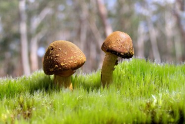 东莞茶山私人老板放款：轻松融资的秘密通道